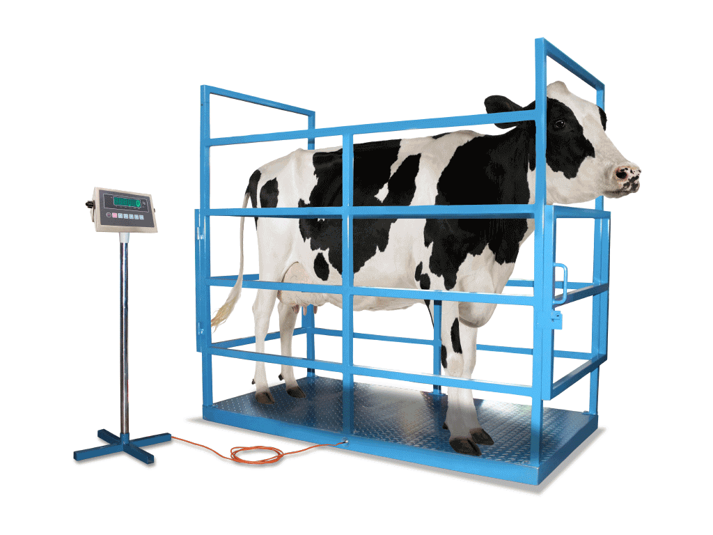 Weighbridge Modular